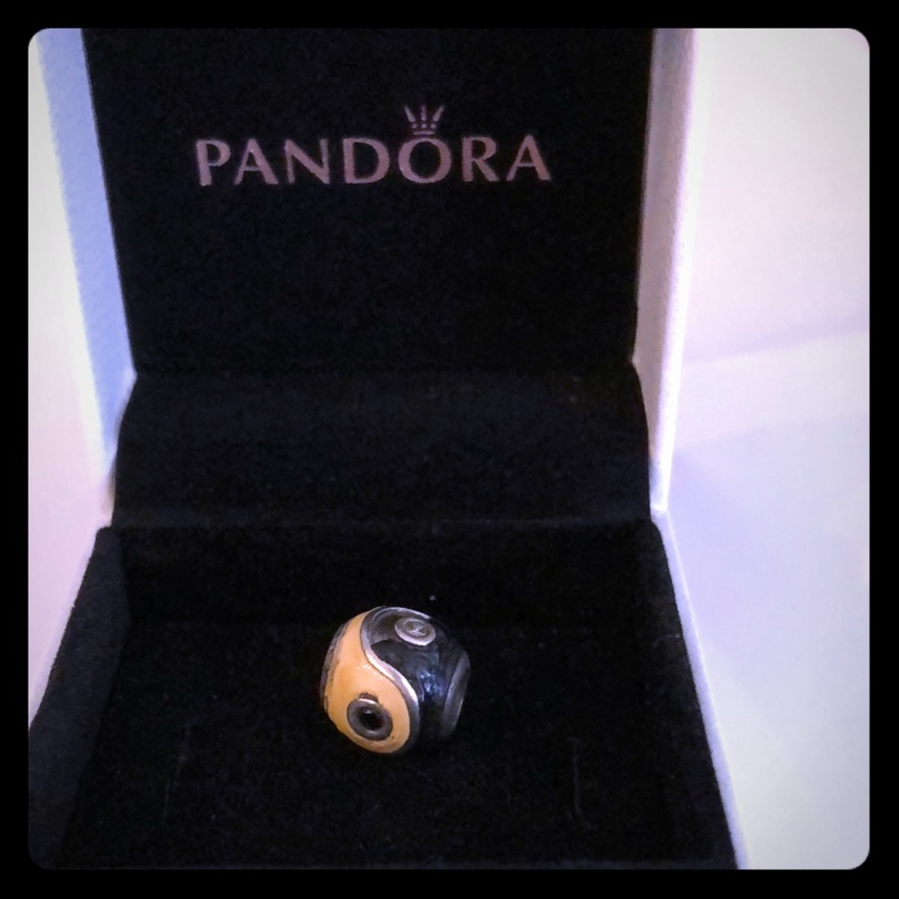 Yin & Yang charm